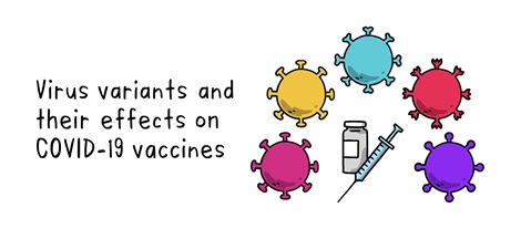 The effects of virus variants on COVID-19 vaccines