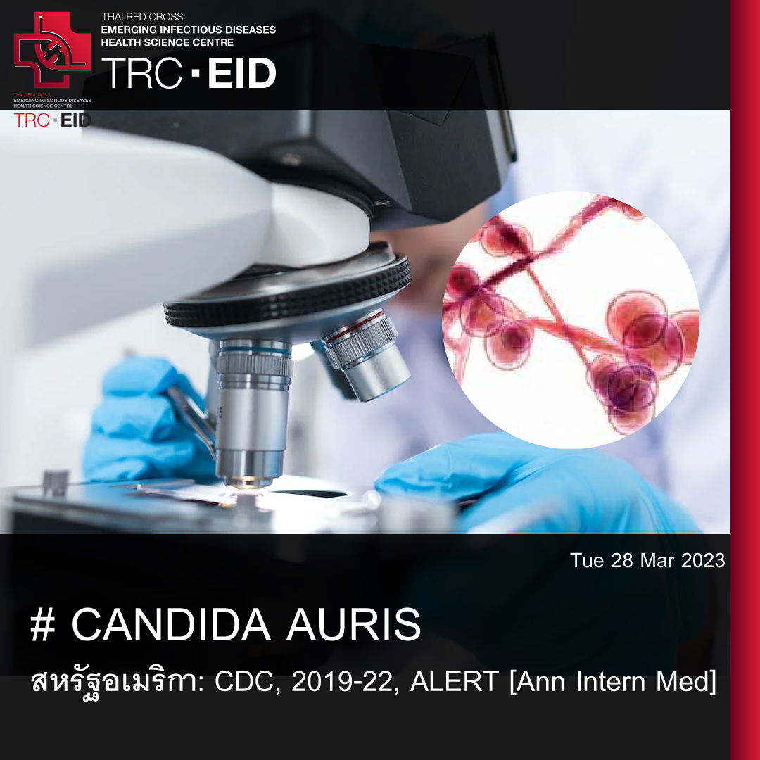# CANDIDA AURIS - สหรัฐอเมริกา: CDC, 2019-22, ALERT [Ann Intern Med]