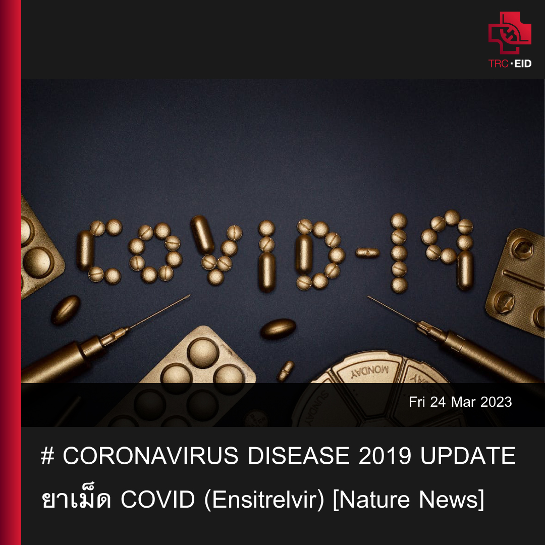 # CORONAVIRUS DISEASE 2019 UPDATE (11): ยาเม็ด COVID (Ensitrelvir) [Nature News]