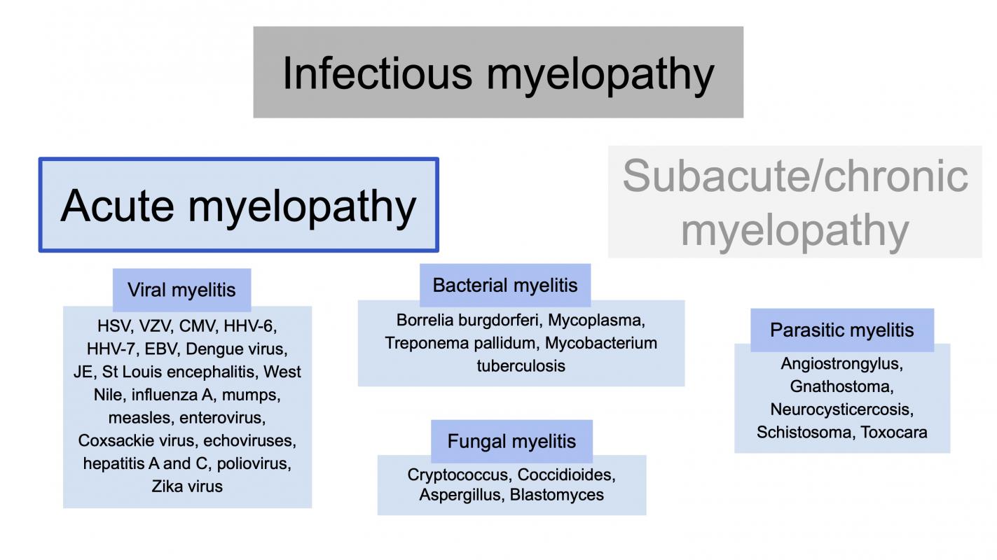 Infectious myelopathy